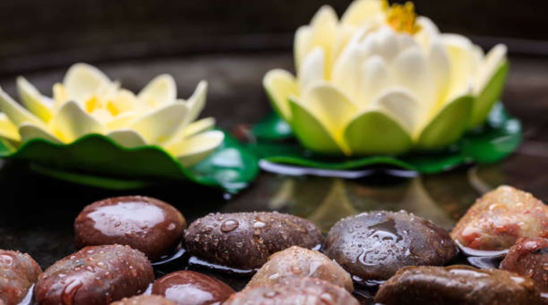 Wellness experience at Lotus Villas & Suites