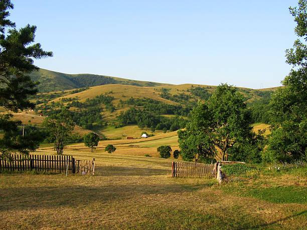 Picture of mountain Zlatibor in Serbia