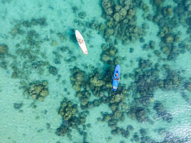 Two paddleboarders exploring the diverse and colorful coral reefs beneath the clear, turquoise waters. Their proximity to each other adds a sense of companionship in the vast, natural beauty of the sea.