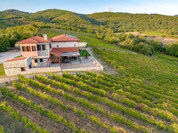 Aerial panoramic view from a drone of a vineyard in Chalkidiki, Northern Greece. The grape-bearing vines grow grapes for winemaking with the winery attached to the plantation on a hill inside the natural environment of a forest. Wine production is a traditional agricultural product of the Greek economy. Megali Panagia, Halkidiki, Greece on September 2023 (Photo by Nicolas Economou/NurPhoto via Getty Images)